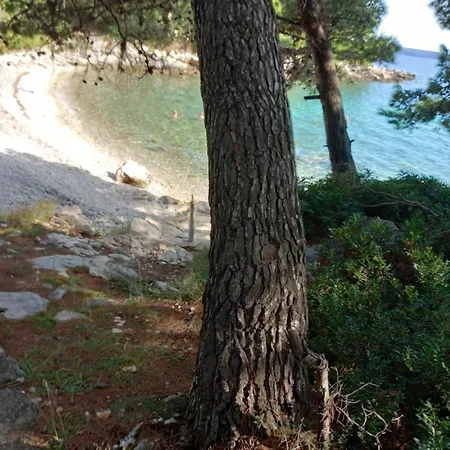 Διαμέρισμα Iva *